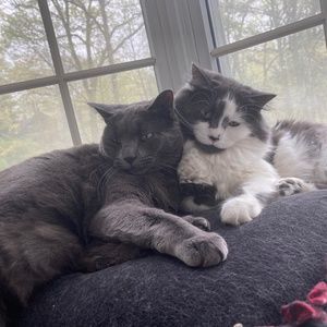 Meet your Posher, Diana